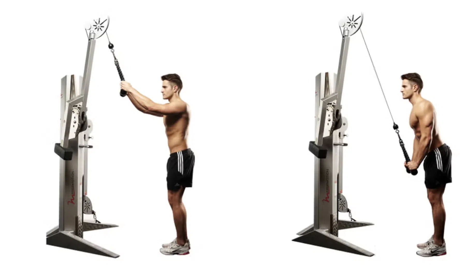 Cabel triceps pushdown